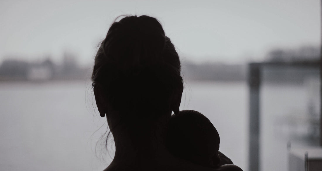 Silhouette of the back of a woman holding baby looking towards a gray landscape