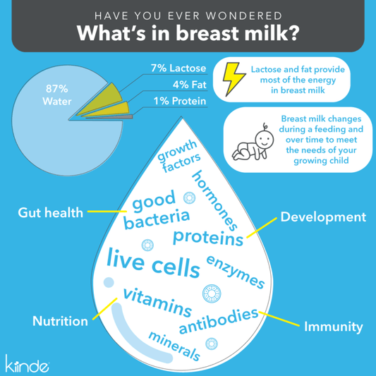 What Exactly Is in My Breastmilk?